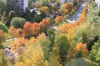 Апартаменты Roberto dangaus apartamentai Вильнюс Апартаменты с балконом-18