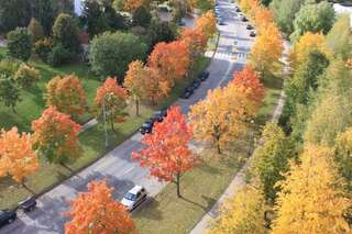 Апартаменты Roberto dangaus apartamentai Вильнюс Апартаменты с балконом-33